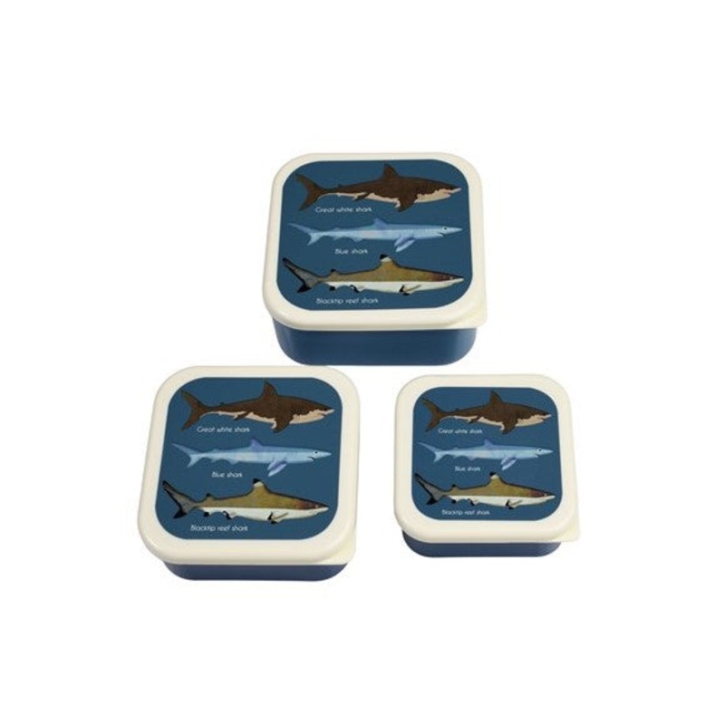 Rex Set of 3 Snack Boxes – Sharks