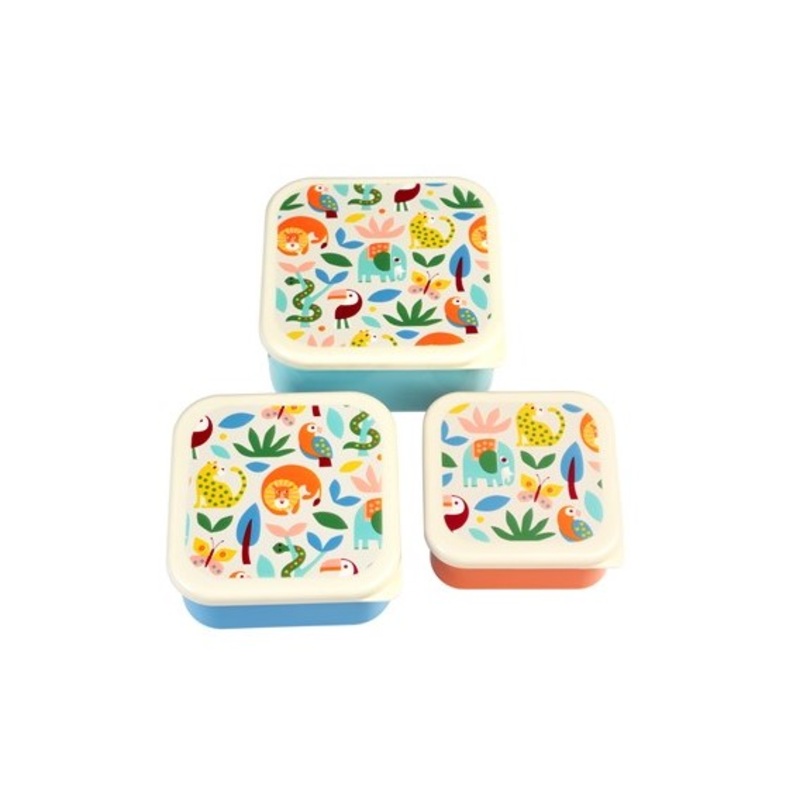 Rex Set of 3 Snack Boxes – Wild Wonders