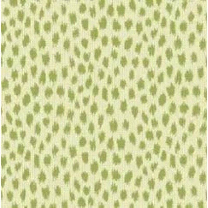 Casual Cushion Dining Seat Cushion in Agra Cactus