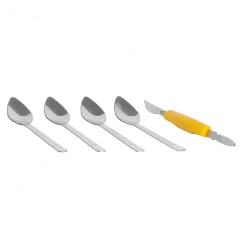 5-Pc Grapefruit Spoons and Knife Set