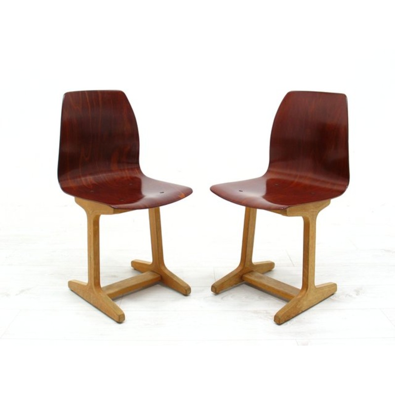 Set of German Side Chairs by A. Stegner, 1960s for sale at Pamono