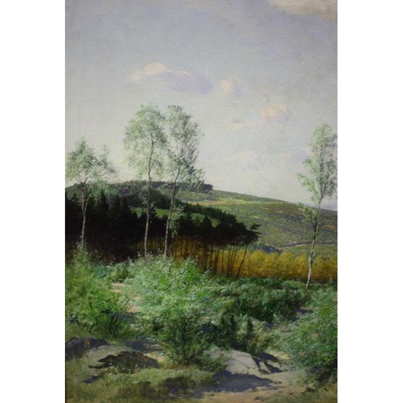 Karl Nebel, Rhon Odenwald Hesse, 1939 for sale at Pamono