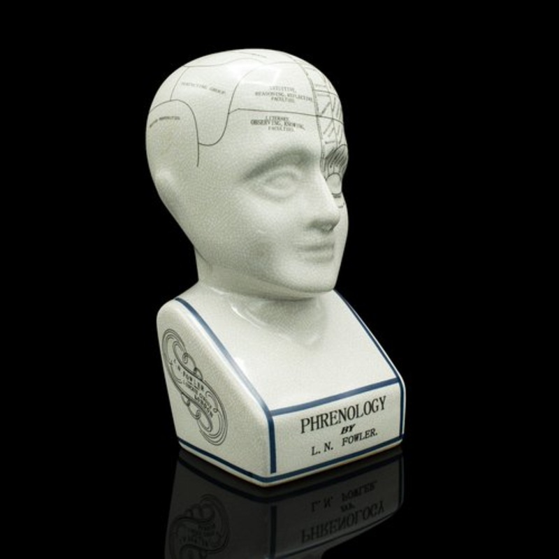 English Phrenology Ceramic Bust, 1970s for sale at Pamono