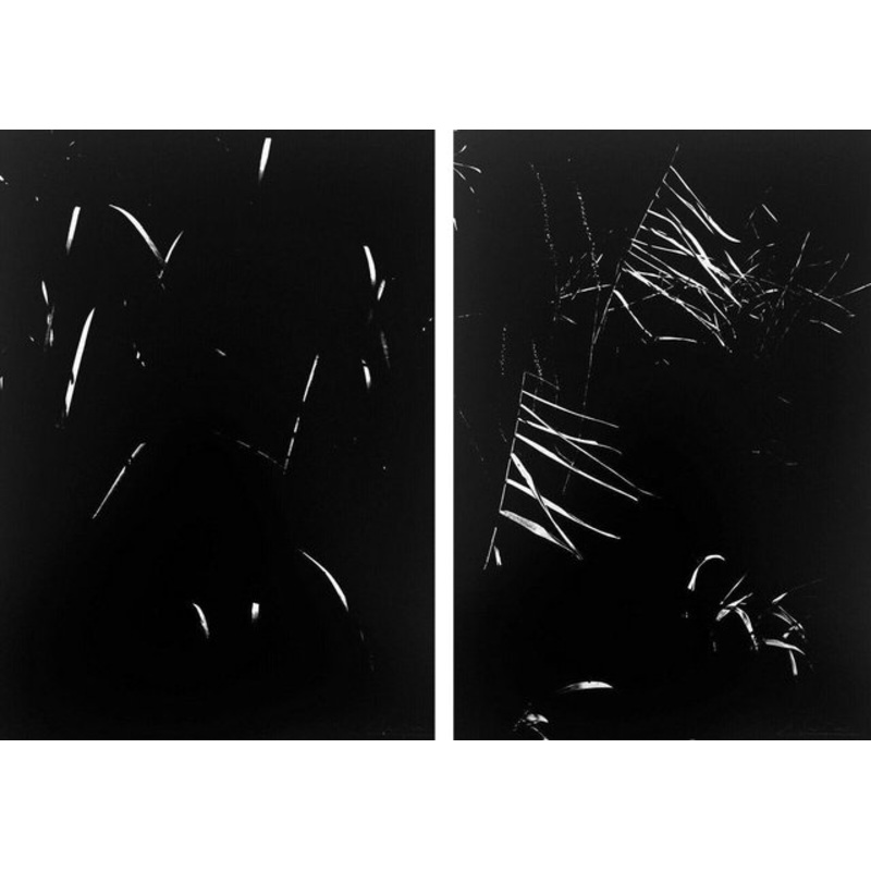 Lucien Clergue, Secret Camargue, 1976, Photogravures, Set of 2 for sale at Pamono