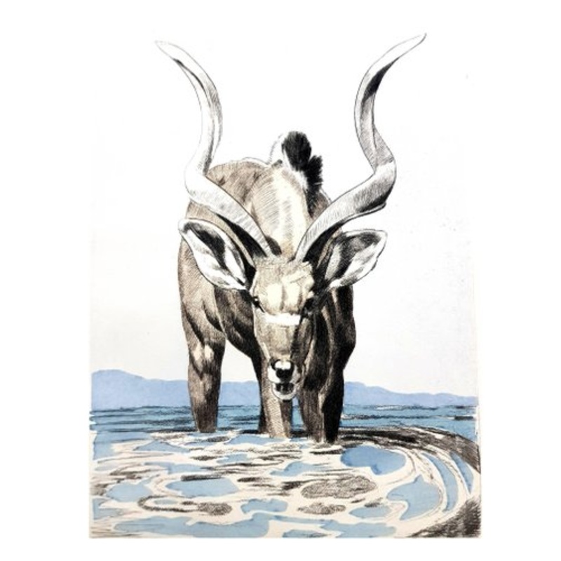 Paul Jouve – Antelope – Original Engraving 1950 for sale at Pamono