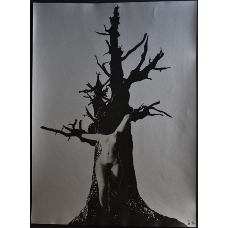 Nude Montage, 1977 for sale at Pamono