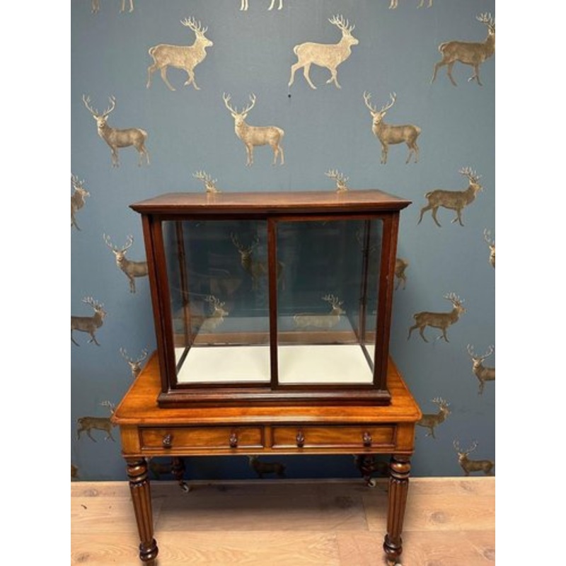 Vintage Display Cabinet in Mahogany for sale at Pamono