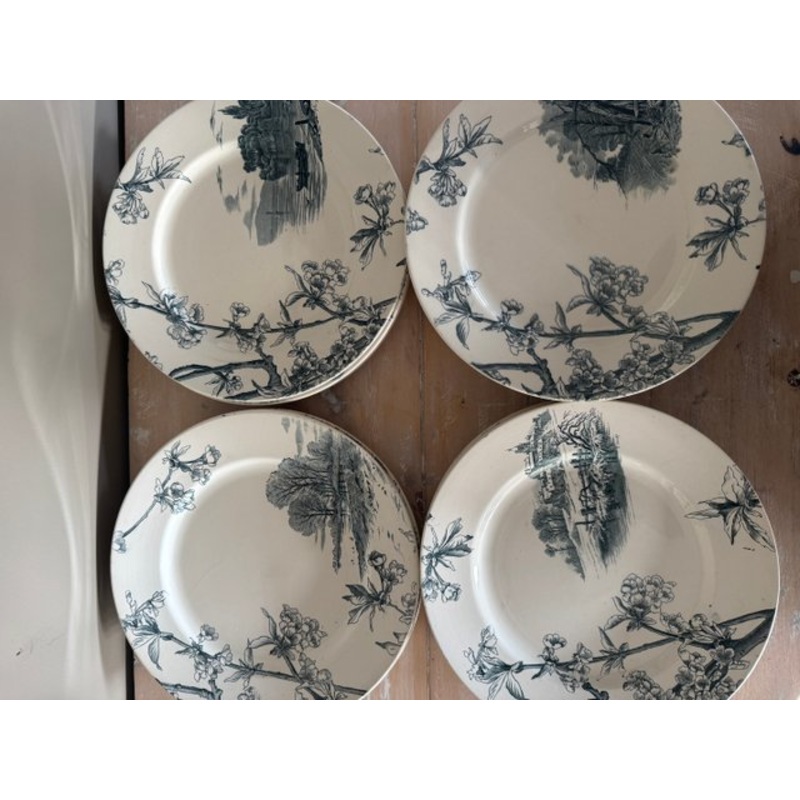 Creil Montereau Cherry Tree Plates, Set of 12 for sale at Pamono