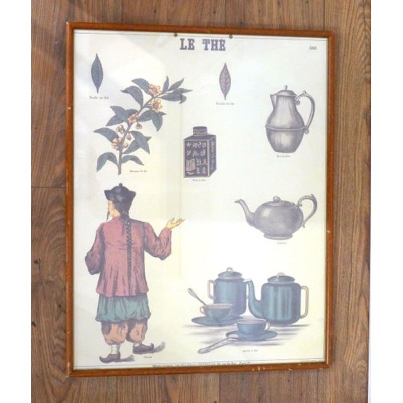 Mid-Century French Educational Poster on Tea for sale at Pamono