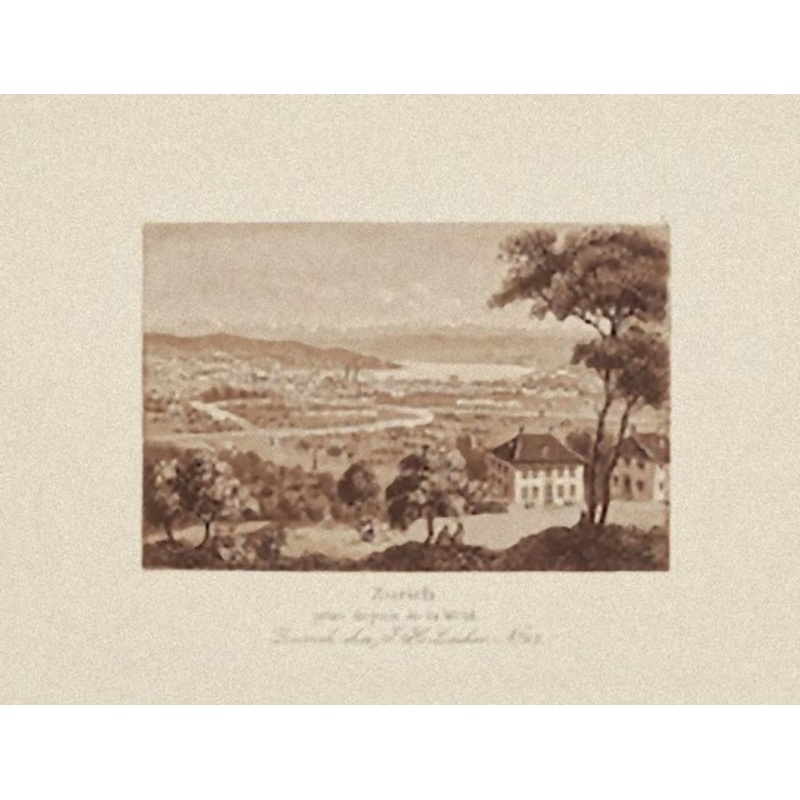 Zurich Landscape – Original Etching on Paper – 19th Century 19th Century for sale at Pamono