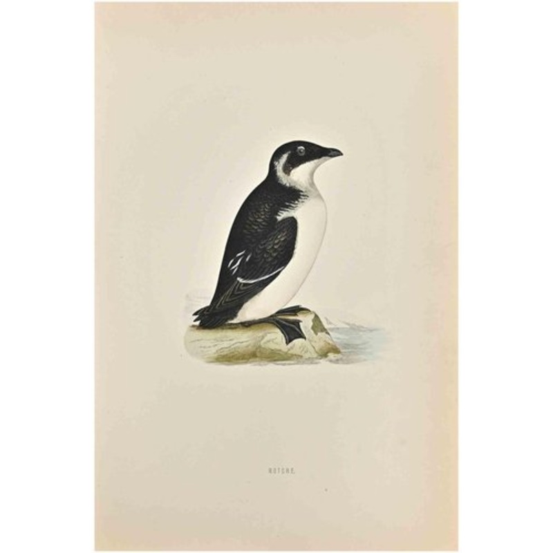 Alexander Francis Lydon, Rotche, Woodcut Print, 1870 for sale at Pamono