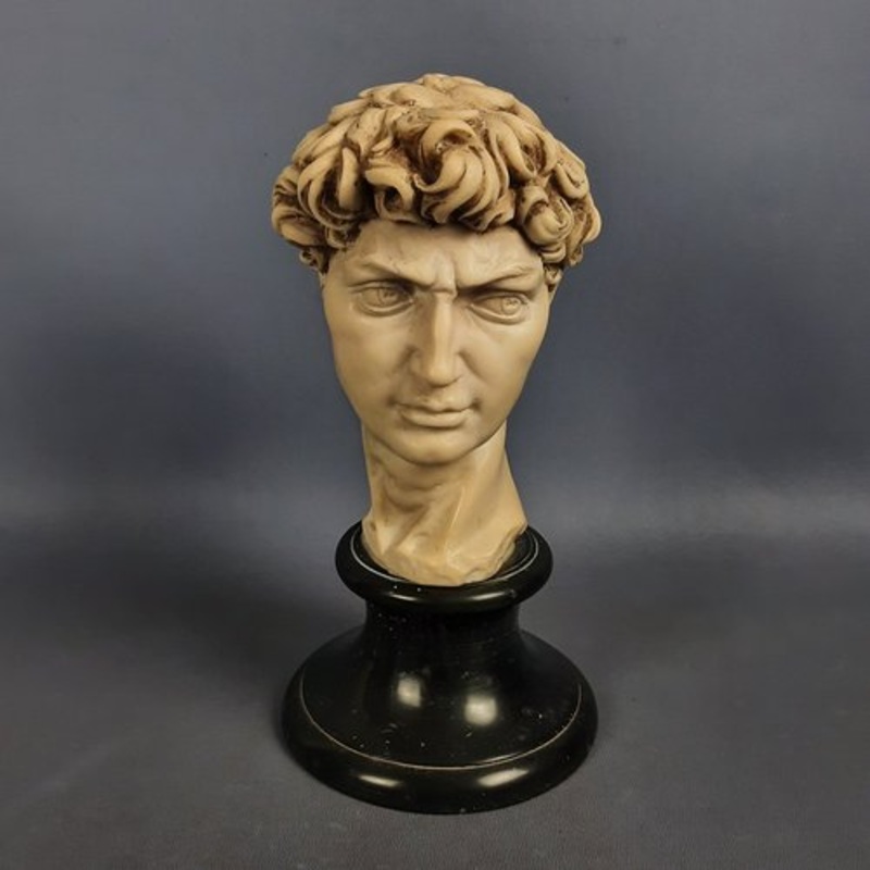 Agglomerate Sculpture Bust of David after Michelangelo, 1960 for sale at Pamono
